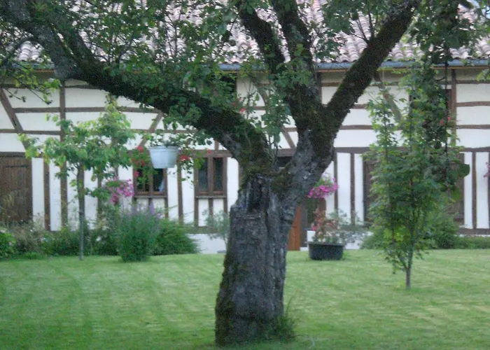 La maison du bûcheron